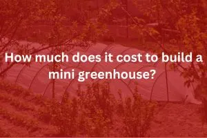 How much does it cost to build a mini greenhouse? How to Build Info ( Cost Category )