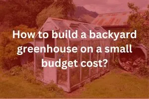 How to build a backyard greenhouse on a small budget cost? How to Build Info ( Cost Category )